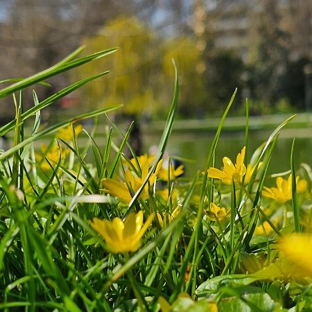 Apartament Central Park Kielce Dış mekan fotoğraf